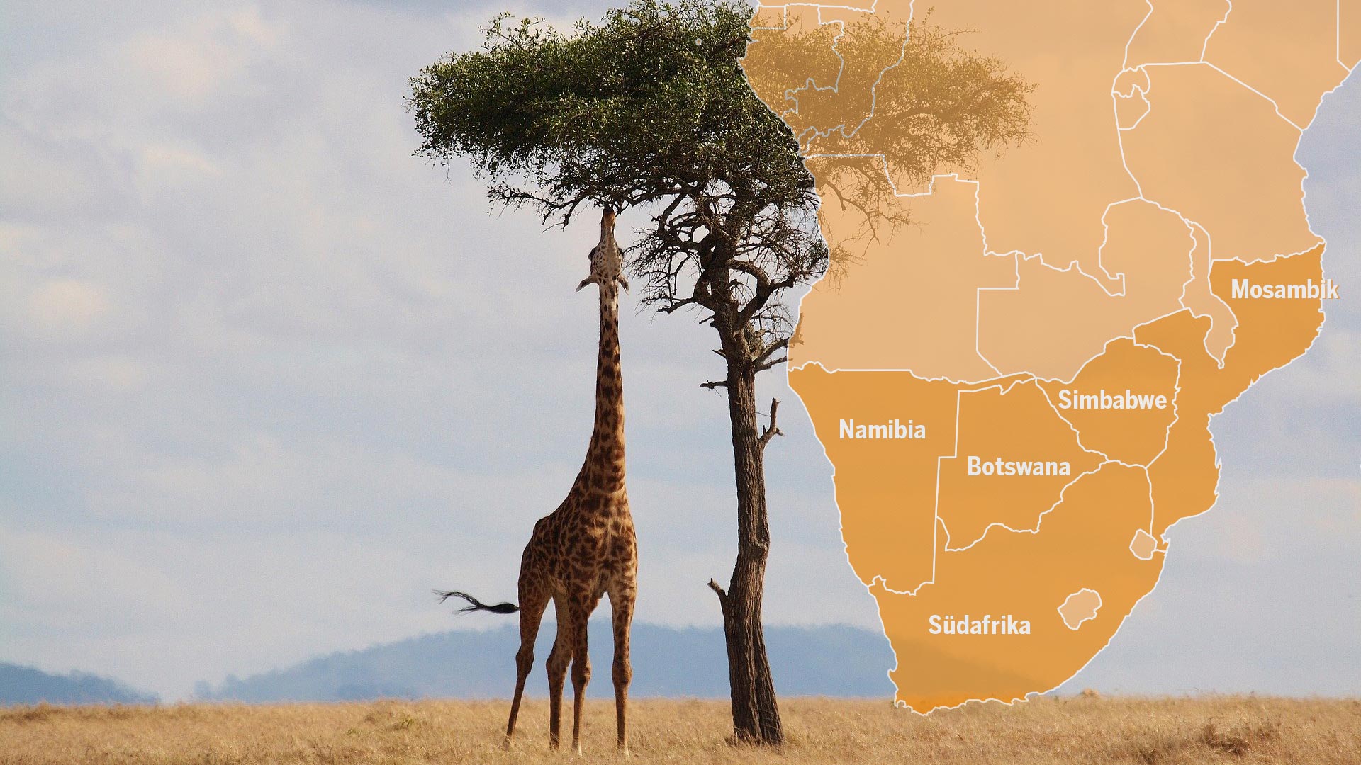 Africa-Graphic-2191662_1920-HowardWilks-Pixabay-1024x576