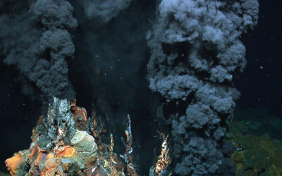 Exploring deep-sea treasures