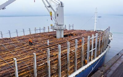 Plus bei Stückgut und Containern