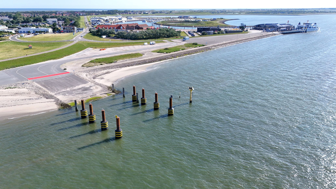 Dolphins on a ramp